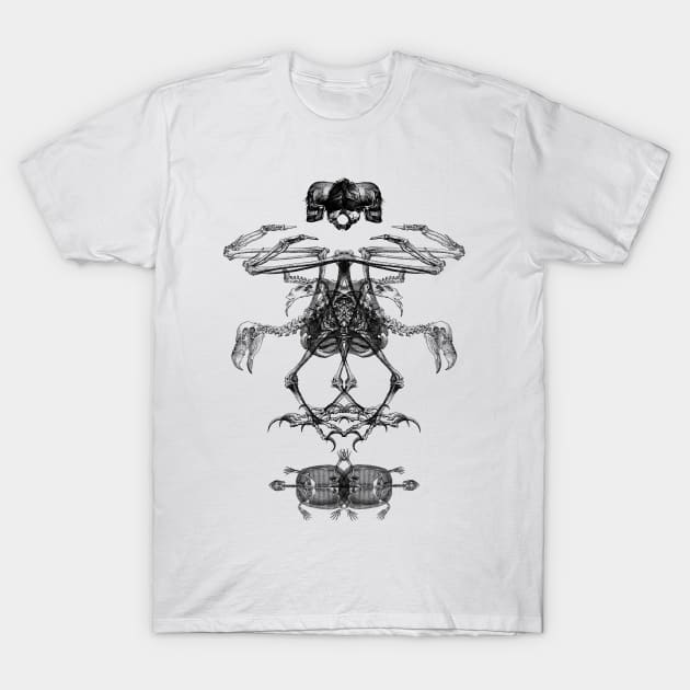 Bone Structure T-Shirt by RAdesigns